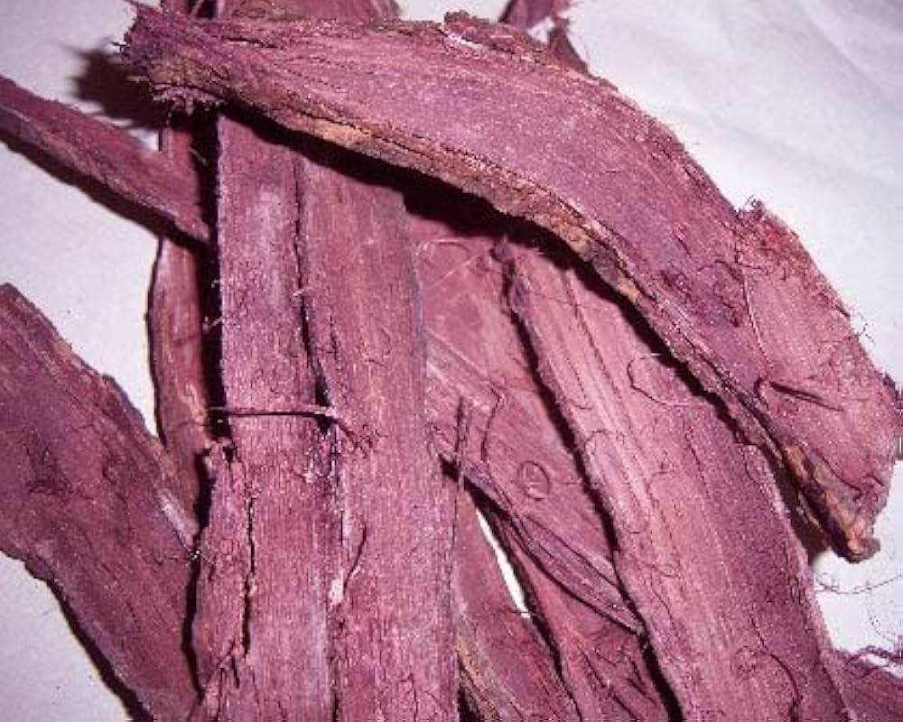 Myrobalan Dye – Essential Natural Mordant and Yellow Dye