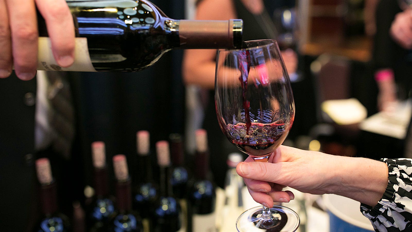 Private Langley Wine Tours for Couples and Groups