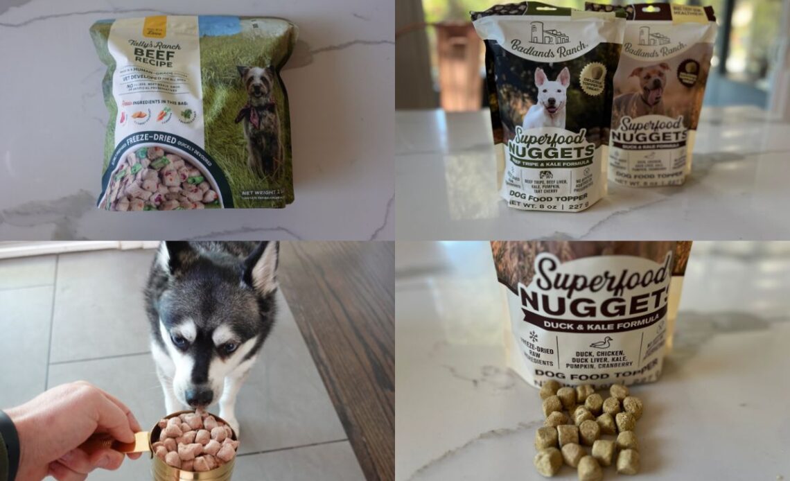 The Role of Antioxidants in Dr Martys Dog Food