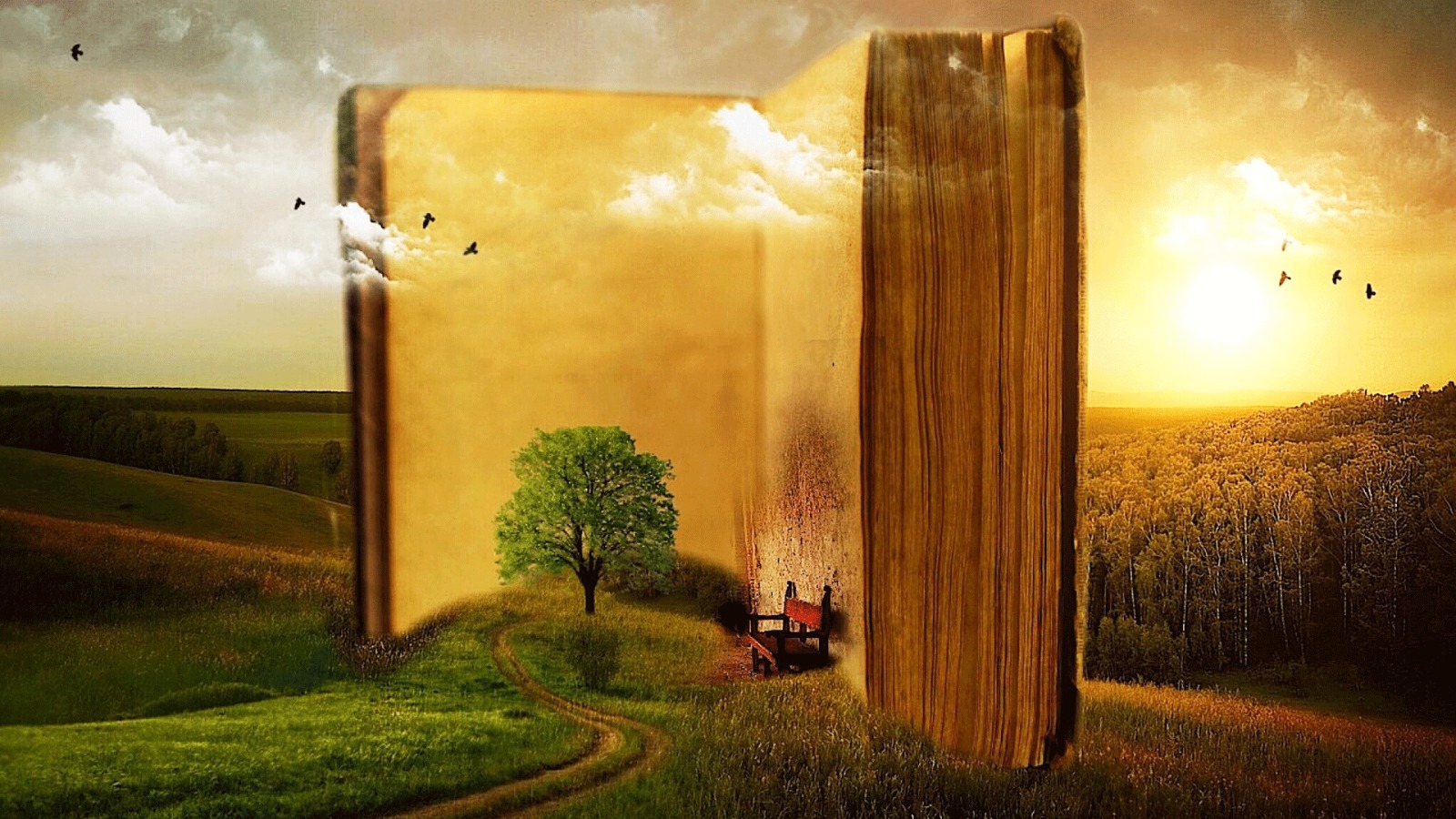 Raynes Legacy Series: Adventure, Love, and Heroism Await
